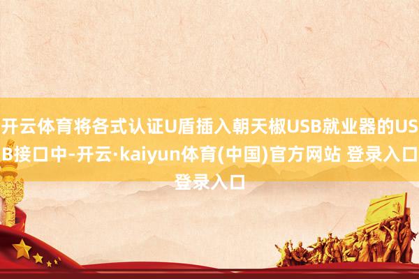 开云体育将各式认证U盾插入朝天椒USB就业器的USB接口中-开云·kaiyun体育(中国)官方网站 登录入口