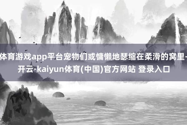 体育游戏app平台宠物们或慵懒地瑟缩在柔滑的窝里-开云·kaiyun体育(中国)官方网站 登录入口