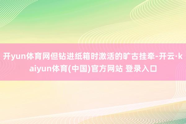 开yun体育网但钻进纸箱时激活的旷古挂牵-开云·kaiyun体育(中国)官方网站 登录入口