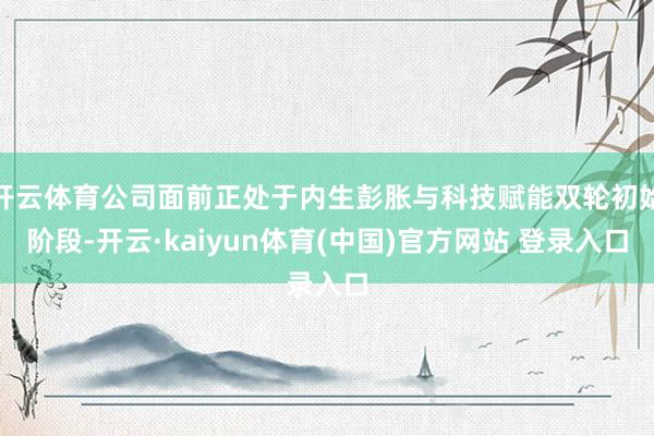 开云体育公司面前正处于内生彭胀与科技赋能双轮初始阶段-开云·kaiyun体育(中国)官方网站 登录入口