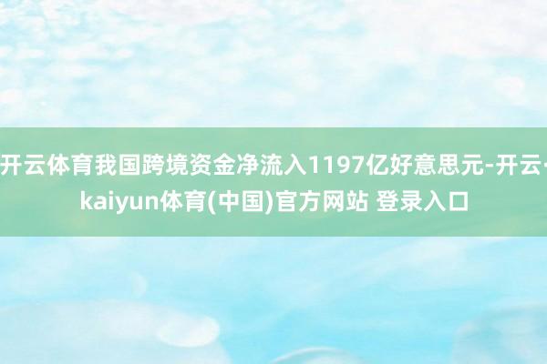 开云体育我国跨境资金净流入1197亿好意思元-开云·kaiyun体育(中国)官方网站 登录入口