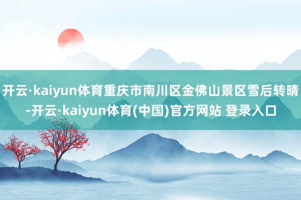 开云·kaiyun体育重庆市南川区金佛山景区雪后转晴-开云·kaiyun体育(中国)官方网站 登录入口