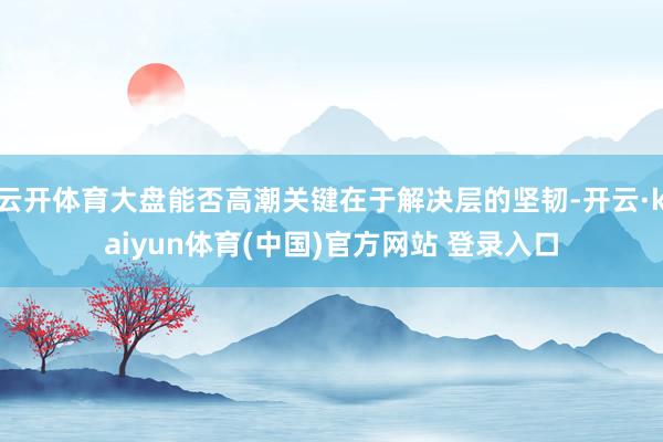 云开体育大盘能否高潮关键在于解决层的坚韧-开云·kaiyun体育(中国)官方网站 登录入口