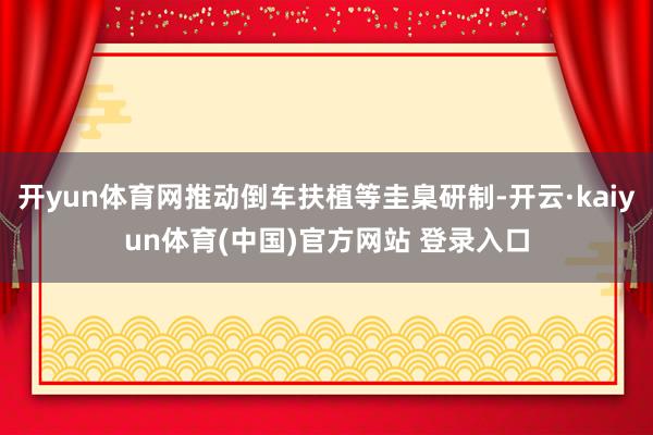 开yun体育网推动倒车扶植等圭臬研制-开云·kaiyun体育(中国)官方网站 登录入口