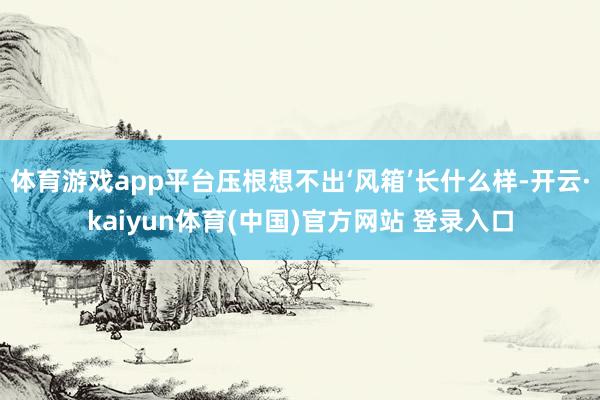 体育游戏app平台压根想不出‘风箱’长什么样-开云·kaiyun体育(中国)官方网站 登录入口